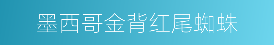 墨西哥金背红尾蜘蛛的同义词