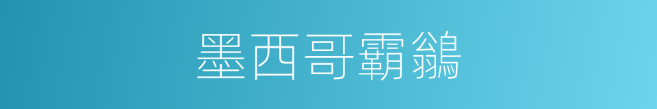 墨西哥霸鶲的同義詞