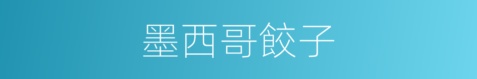 墨西哥餃子的同義詞