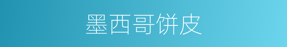 墨西哥饼皮的同义词