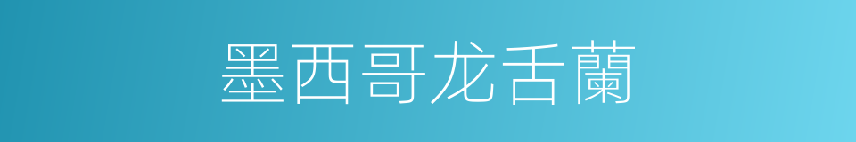 墨西哥龙舌蘭的同義詞