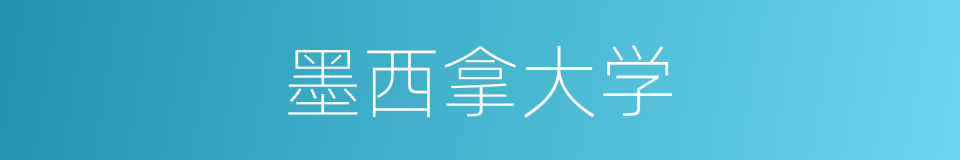 墨西拿大学的同义词