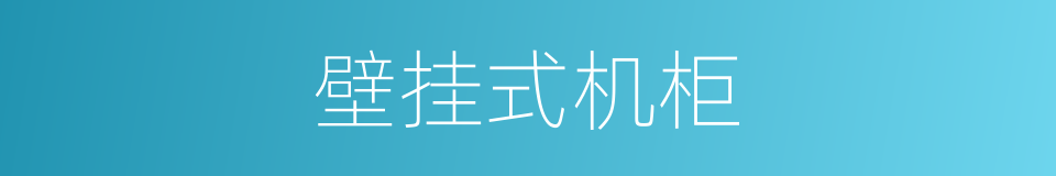 壁挂式机柜的同义词