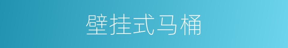 壁挂式马桶的同义词