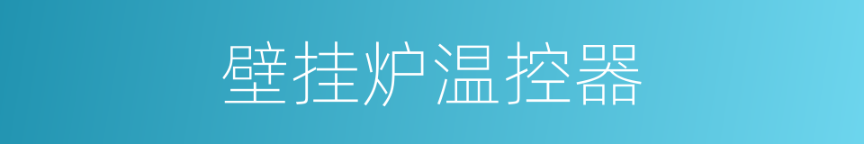 壁挂炉温控器的同义词