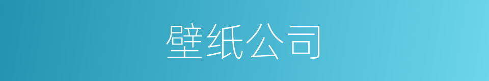 壁纸公司的同义词