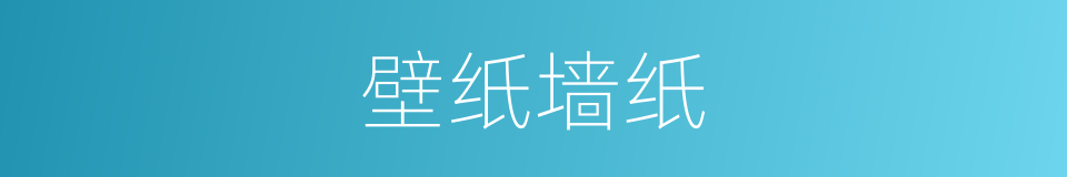 壁纸墙纸的同义词