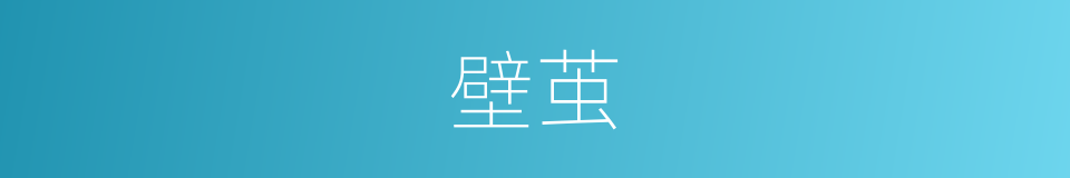 壁茧的意思