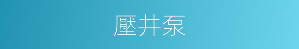 壓井泵的同義詞