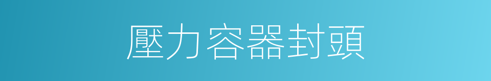 壓力容器封頭的同義詞