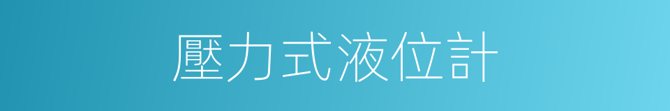 壓力式液位計的同義詞
