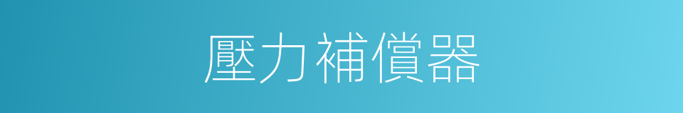 壓力補償器的同義詞