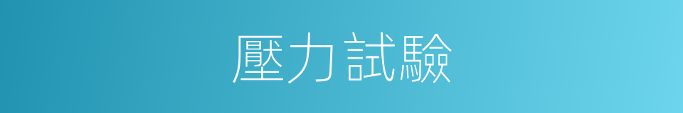 壓力試驗的同義詞