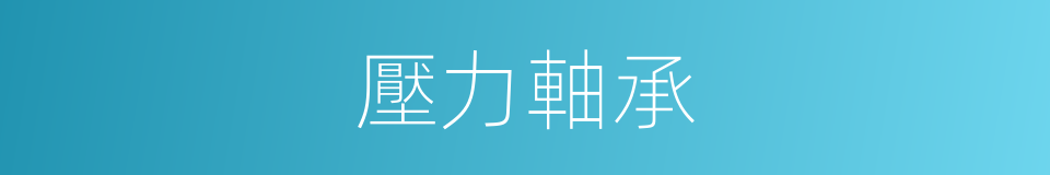 壓力軸承的同義詞