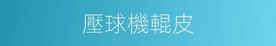 壓球機輥皮的同義詞