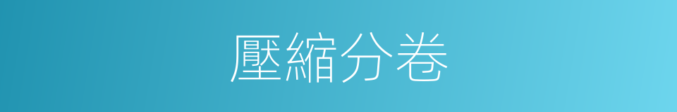 壓縮分卷的同義詞