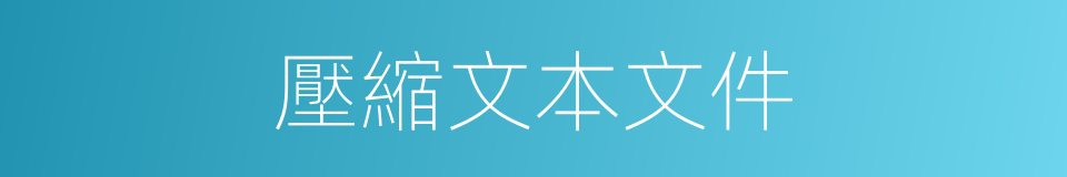 壓縮文本文件的同義詞