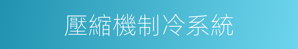 壓縮機制冷系統的同義詞