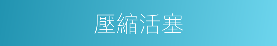 壓縮活塞的同義詞