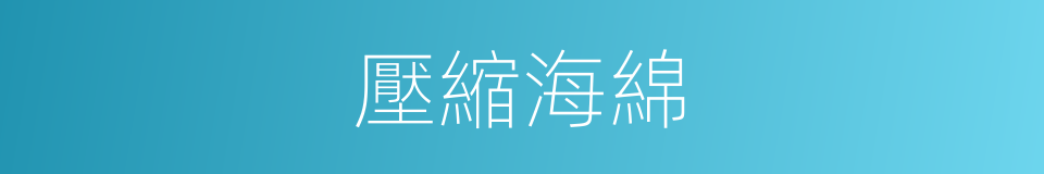 壓縮海綿的同義詞