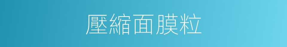 壓縮面膜粒的同義詞