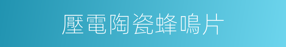 壓電陶瓷蜂鳴片的同義詞