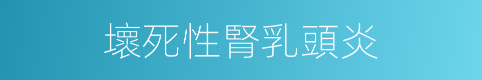 壞死性腎乳頭炎的同義詞