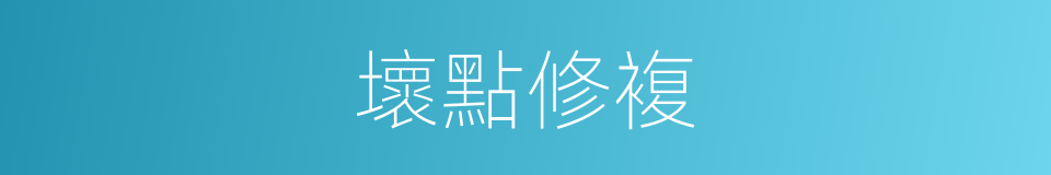 壞點修複的同義詞