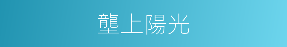 壟上陽光的同義詞
