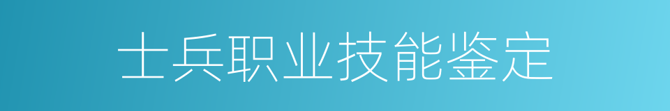士兵职业技能鉴定的同义词