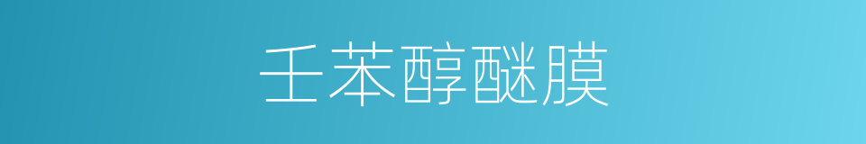 壬苯醇醚膜的同义词