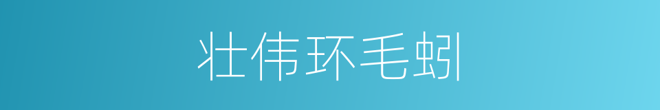 壮伟环毛蚓的同义词