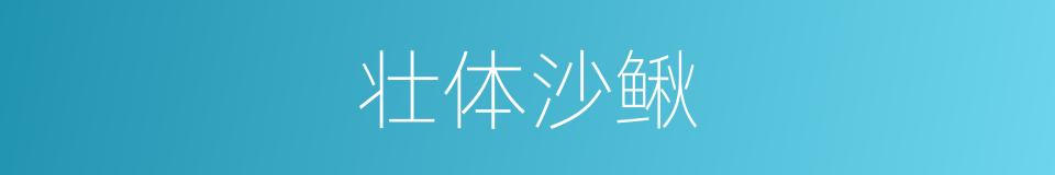 壮体沙鳅的同义词