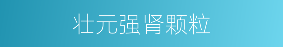 壮元强肾颗粒的同义词