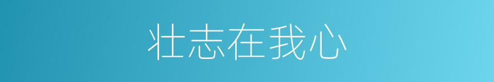 壮志在我心的同义词