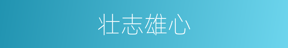 壮志雄心的同义词