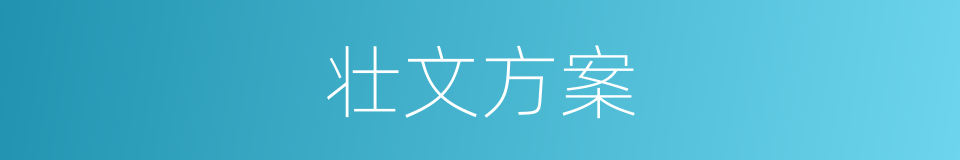 壮文方案的同义词