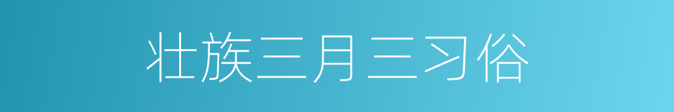 壮族三月三习俗的同义词