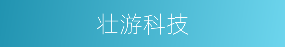 壮游科技的同义词