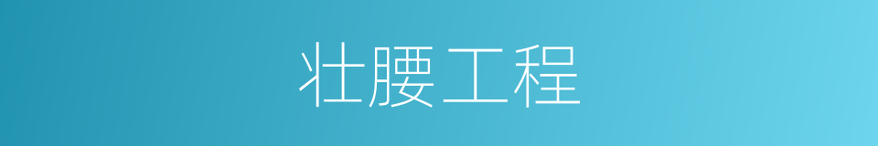 壮腰工程的同义词