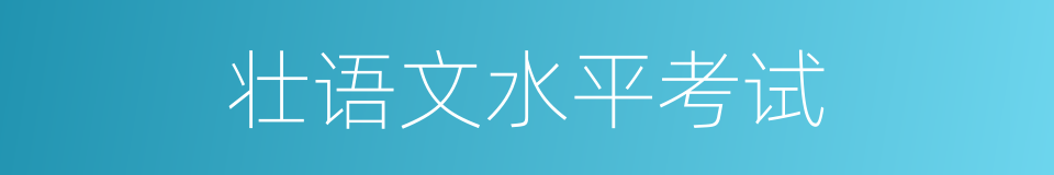 壮语文水平考试的同义词