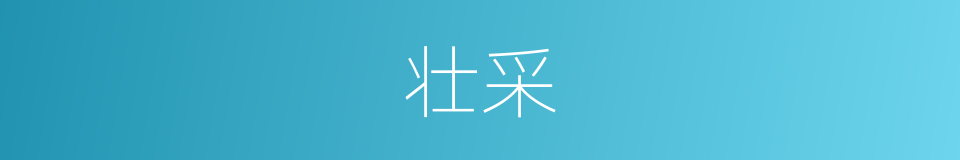 壮采的意思
