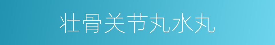 壮骨关节丸水丸的同义词