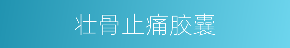 壮骨止痛胶囊的同义词