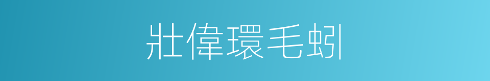 壯偉環毛蚓的同義詞