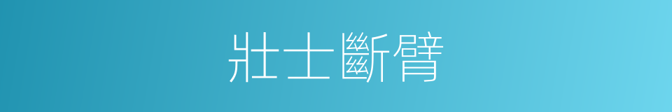 壯士斷臂的意思