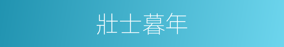 壯士暮年的同義詞