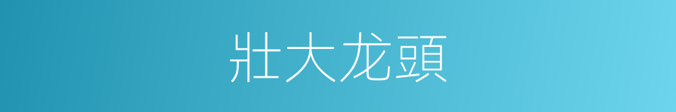 壯大龙頭的同義詞