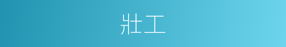 壯工的意思