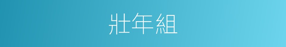 壯年組的同義詞